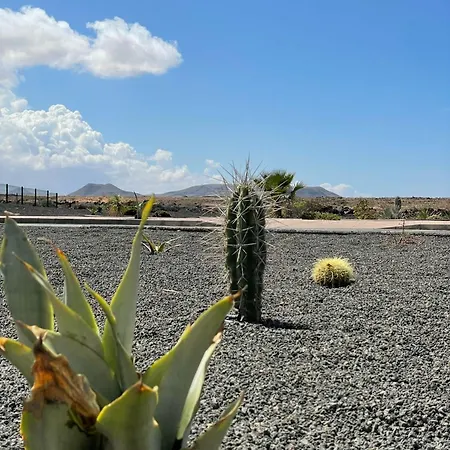 فيلة Arcano Boho Chic *