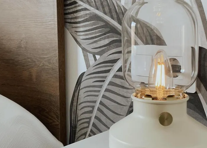 Arcano Boho Chic 拉·奥利瓦